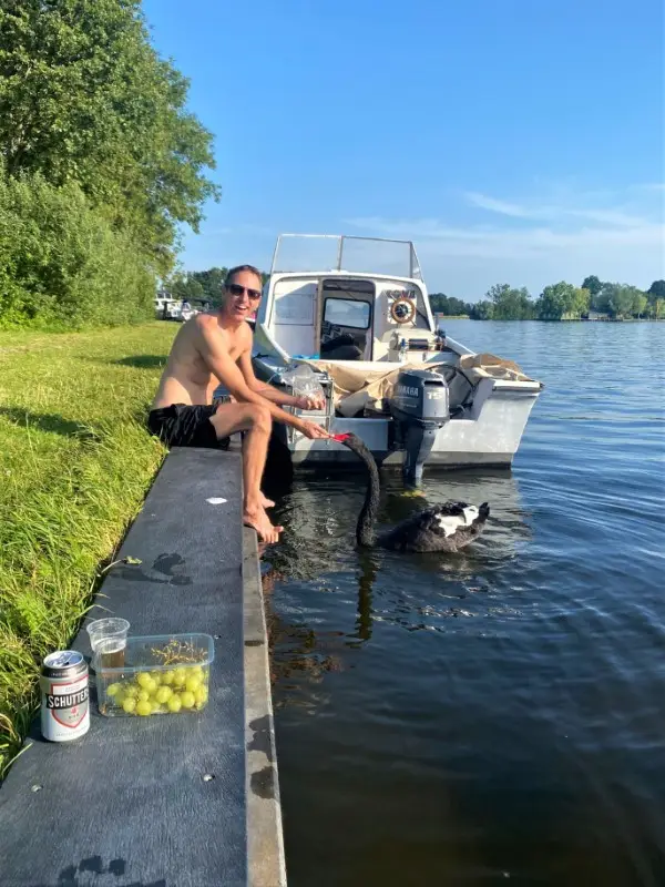 Black Swan, Vinkeveen