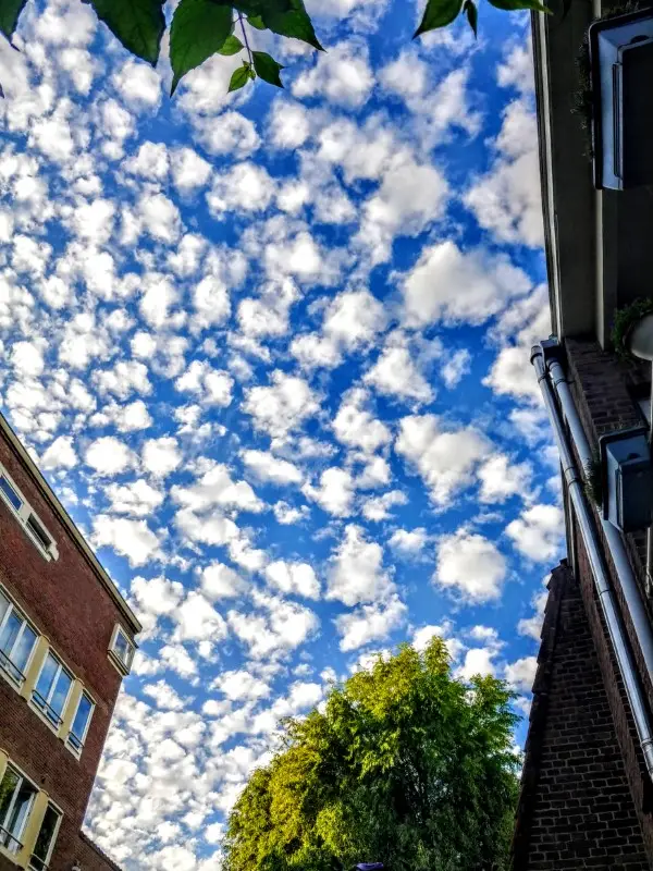 Blue skies
