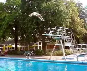 Love to fly